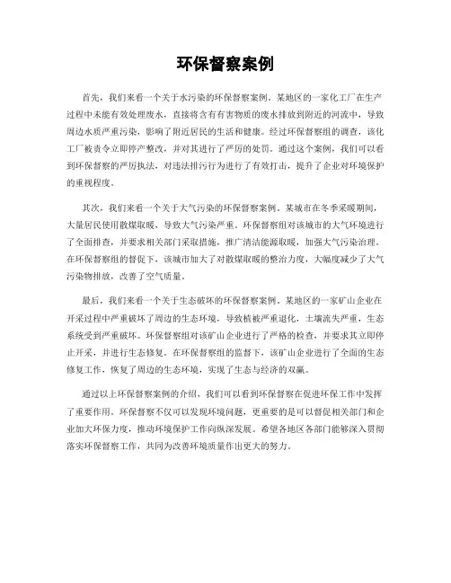环保督察案例