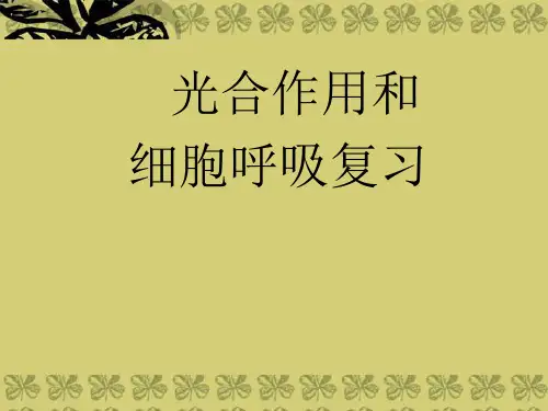 高考生物 光合作用和细胞呼吸复习课件