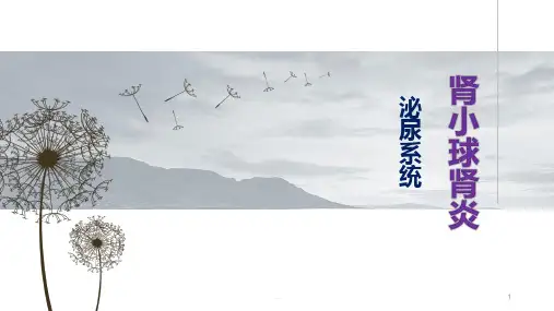 《肾小球肾炎》ppt课件