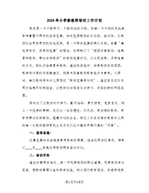 2024年小学新教师培训工作计划（五篇）