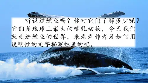 最新人教部编版五年级上册语文习作例文：《鲸》《风向袋的制作》精品教学课件