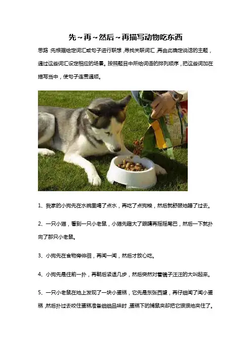 用先再然后来介绍你见过的动物吃食的情景