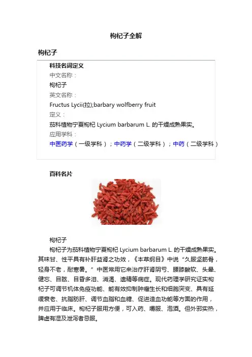 枸杞子全解