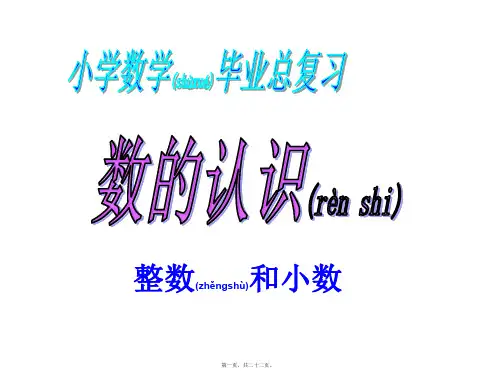 六年级数学总复习(整数小数)