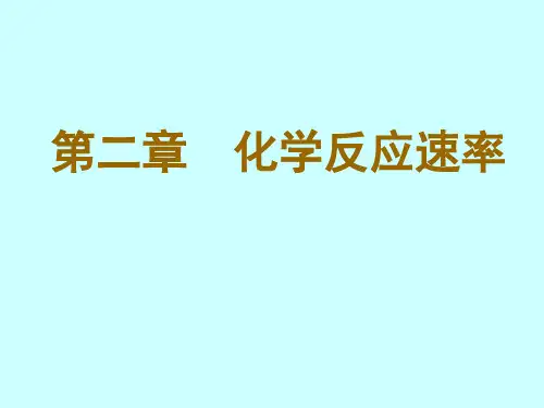 化学反应速率 中国农大考研普通化学课件