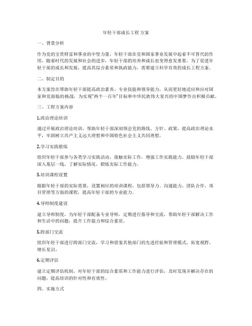 年轻干部成长工程 方案