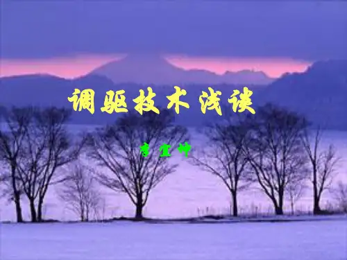 调驱技术浅谈讲解