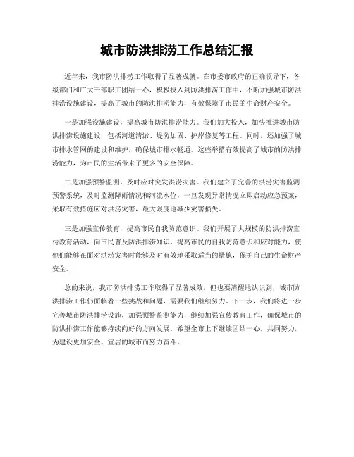 城市防洪排涝工作总结汇报