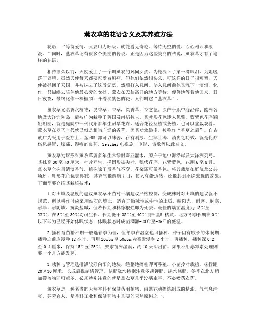薰衣草的花语含义及其养殖方法