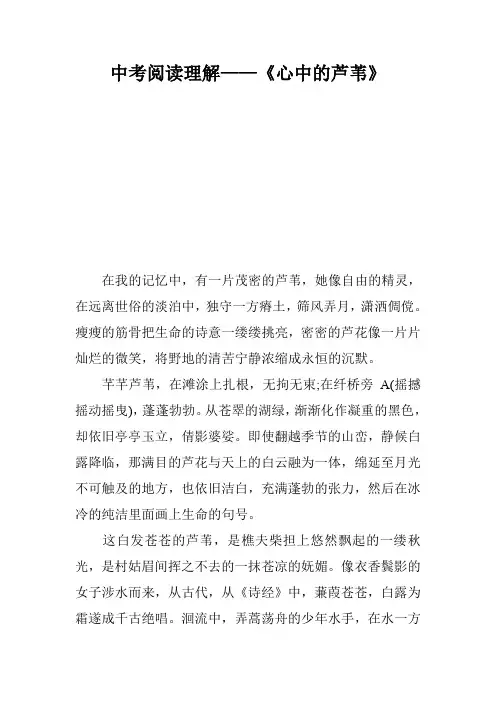 中考阅读理解——《心中的芦苇》