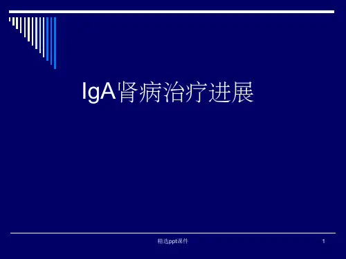 IgA肾病诊断和治疗进展