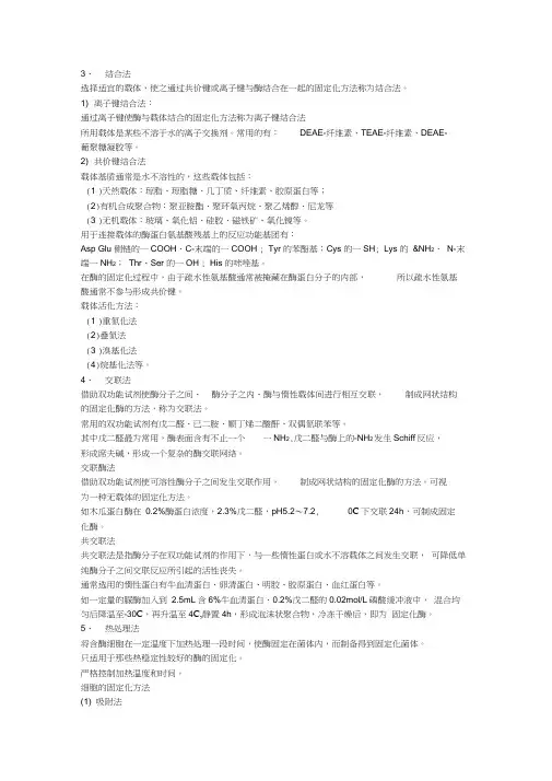 酶的固定化