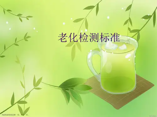 老化检测标准 (2)