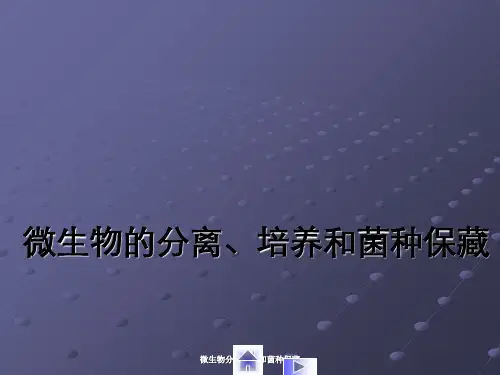 微生物分离培养和菌种保藏