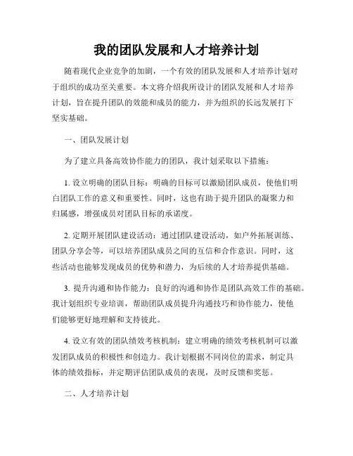 我的团队发展和人才培养计划