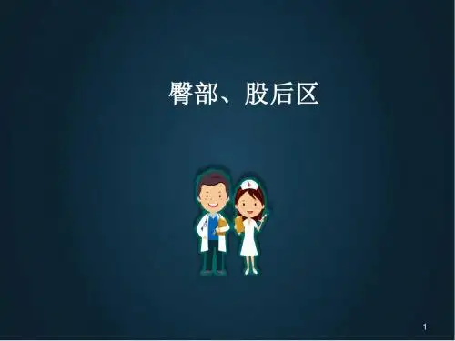 (医学课件)局部解剖学-臀区及下肢(学院)