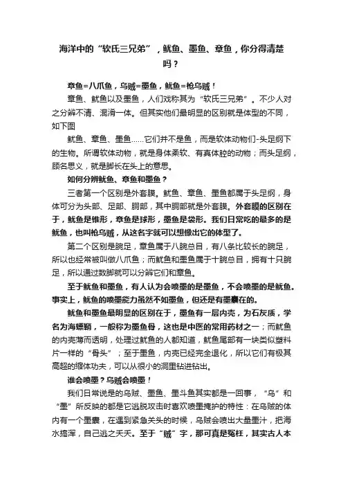 海洋中的“软氏三兄弟”，鱿鱼、墨鱼、章鱼，你分得清楚吗？