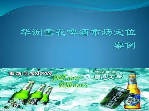 华润雪花啤酒市场定位案例