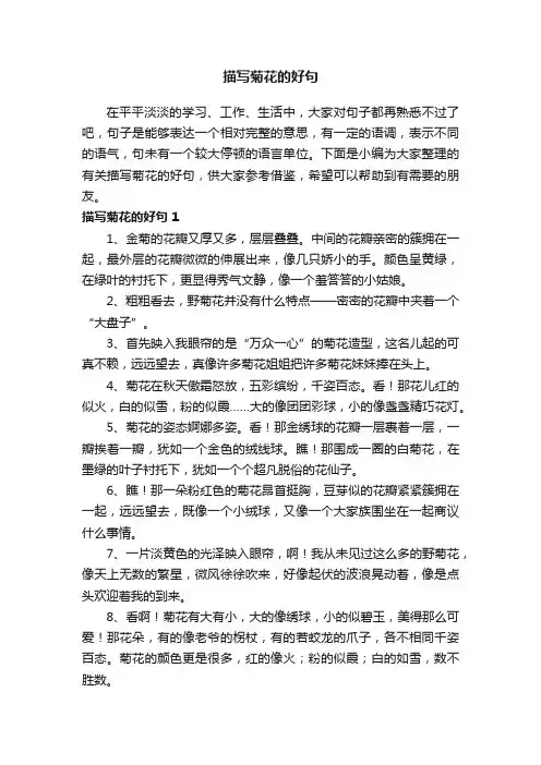 有关描写菊花的好句汇总