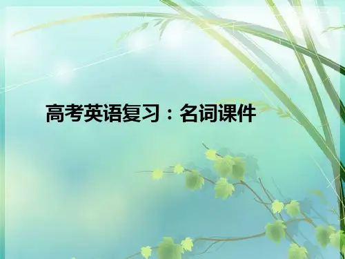 高考英语复习：名词 PPT课件 图文