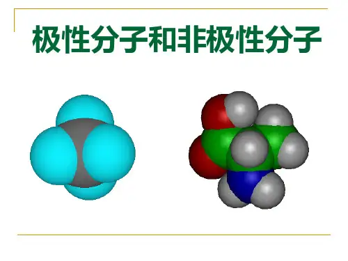 极性分子和非极性分子