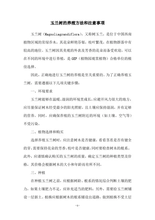 玉兰树的养殖方法和注意事项