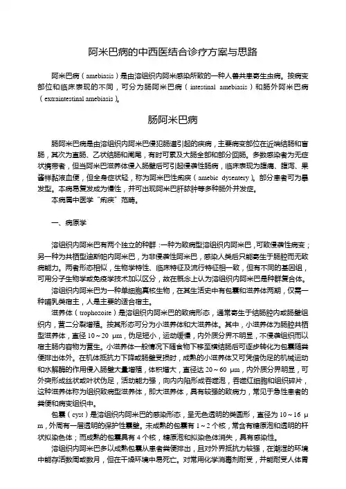 阿米巴病的中西医结合诊疗方案与思路