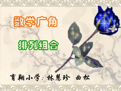 小学数学排列组合.ppt