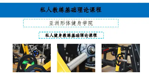 私人教练基础理论课程-亚洲形体健身学院