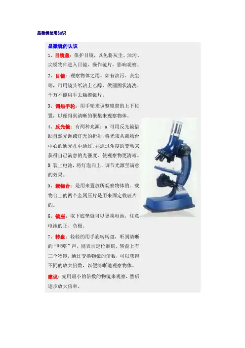 显微镜使用知识