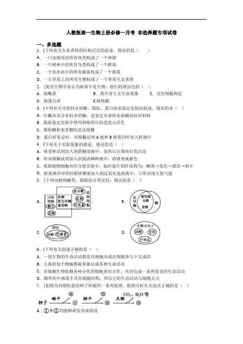 人教版高一生物上册必修一月考 非选择题专项试卷