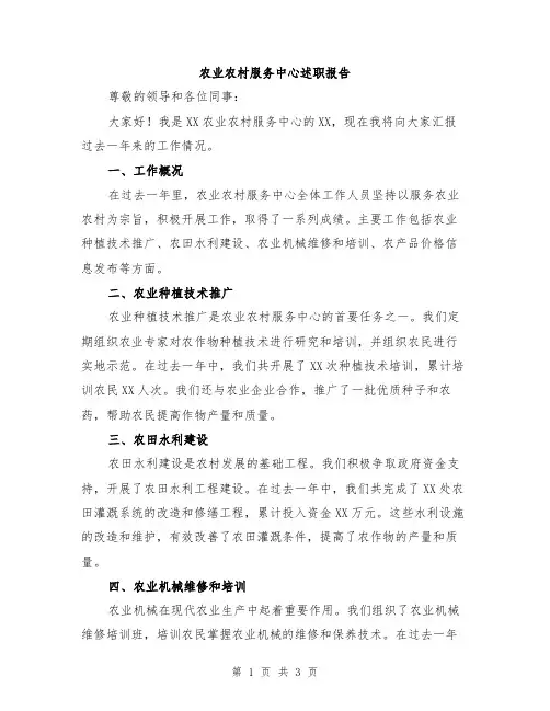 农业农村服务中心述职报告