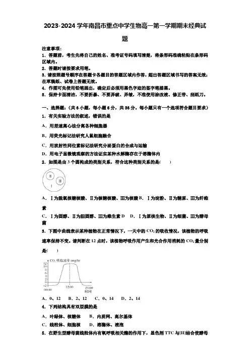 2023-2024学年南昌市重点中学生物高一第一学期期末经典试题含解析