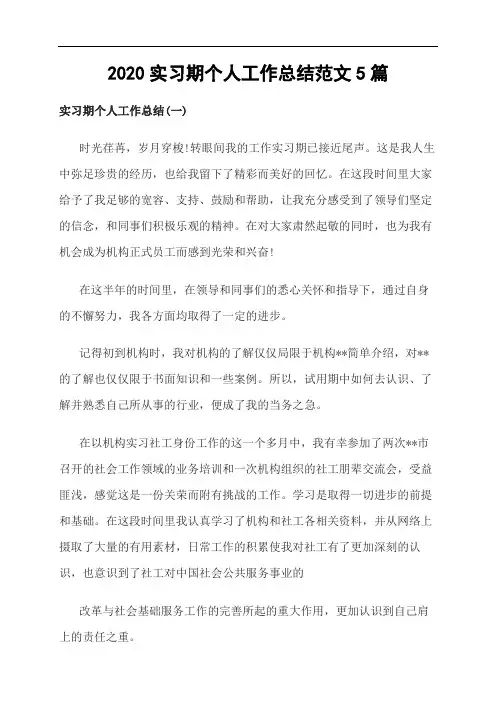 2020社工实习期个人工作总结范文5篇