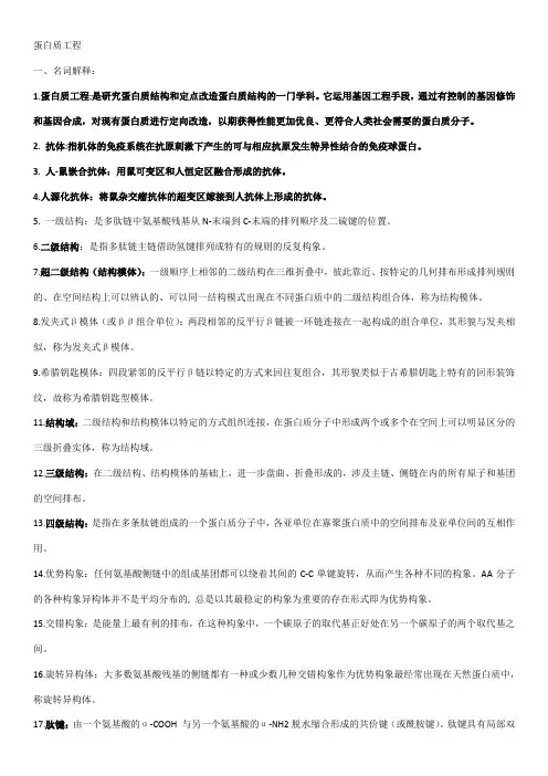 蛋白质工程
