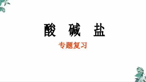 中考化学专题复习酸碱盐专题复习(25张)