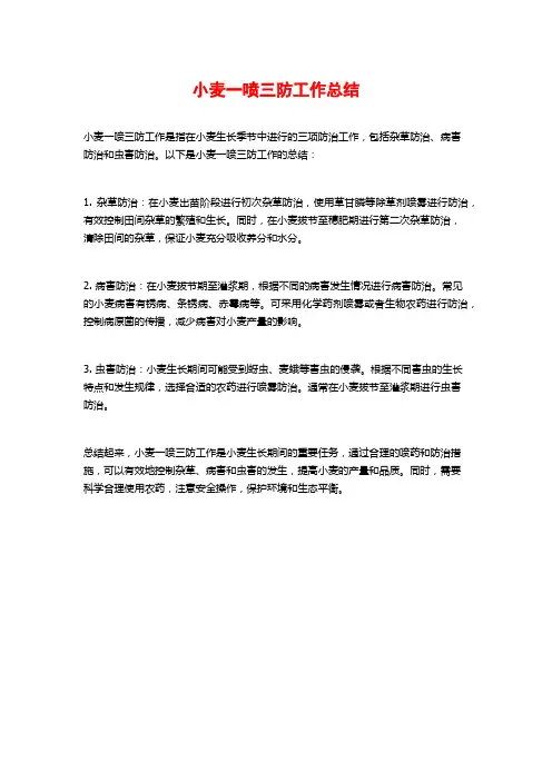 小麦一喷三防工作总结