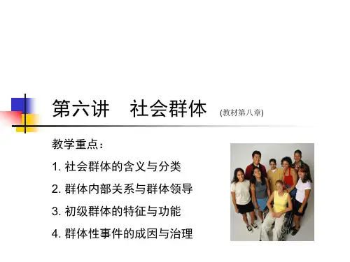 社会学概论-第六讲社会群体.