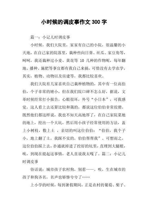 小时候的调皮事作文300字