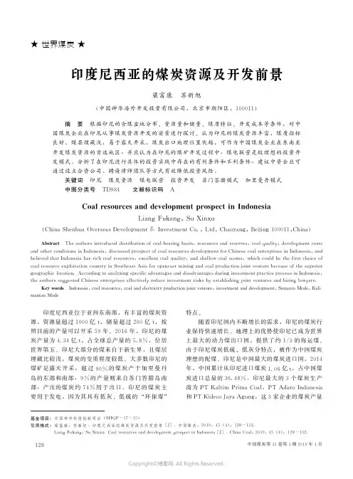 印度尼西亚的煤炭资源及开发前景
