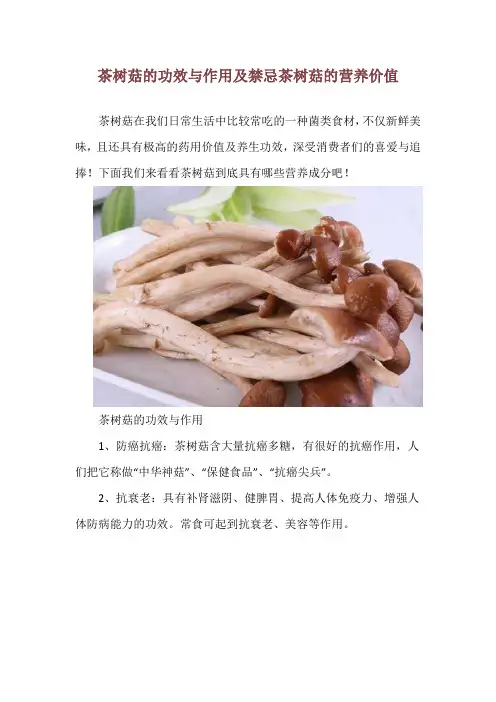 茶树菇的功效与作用及禁忌 茶树菇的营养价值