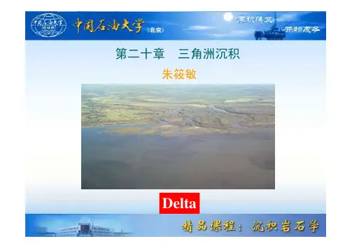 沉积岩石学课件：20章 三角洲讲课
