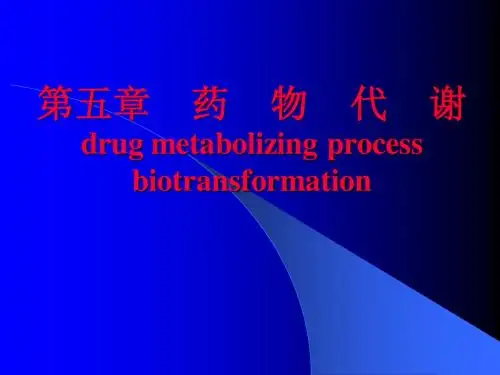 第五章 药物代谢