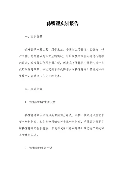 鸭嘴锤实训报告