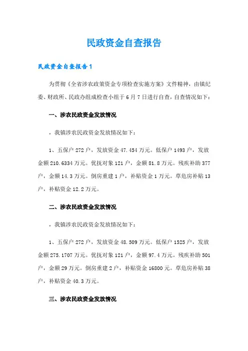 民政资金自查报告