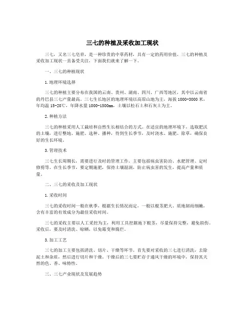 三七的种植及采收加工现状