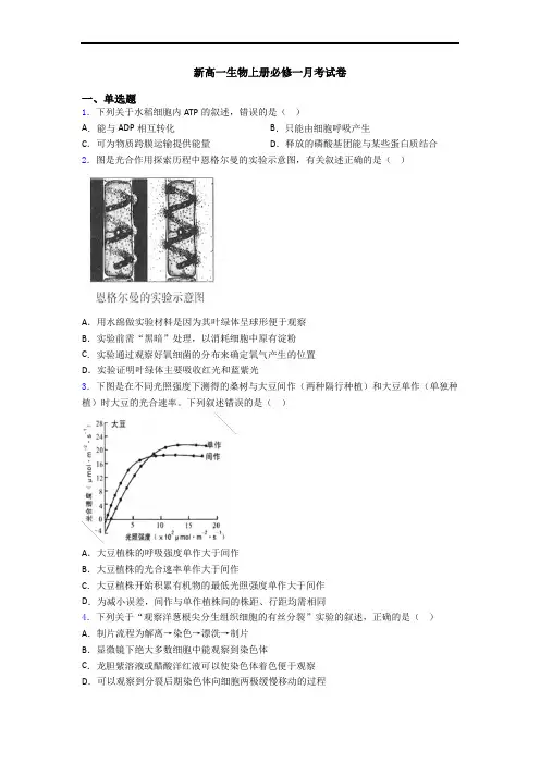 新高一生物上册必修一月考试卷