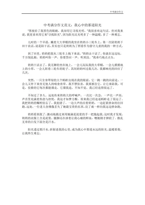 中考满分作文：我心中的那道阳光