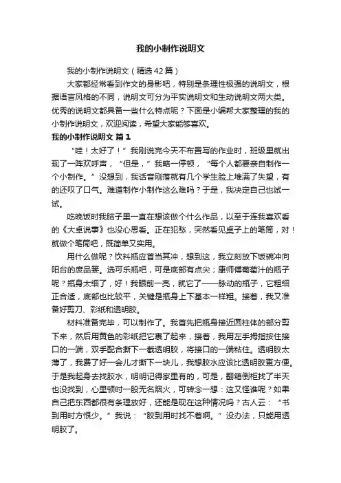 我的小制作说明文（精选42篇）