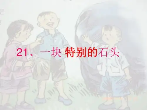 一块特别的石头